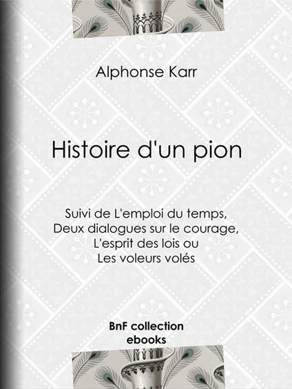 Histoire d'un pion