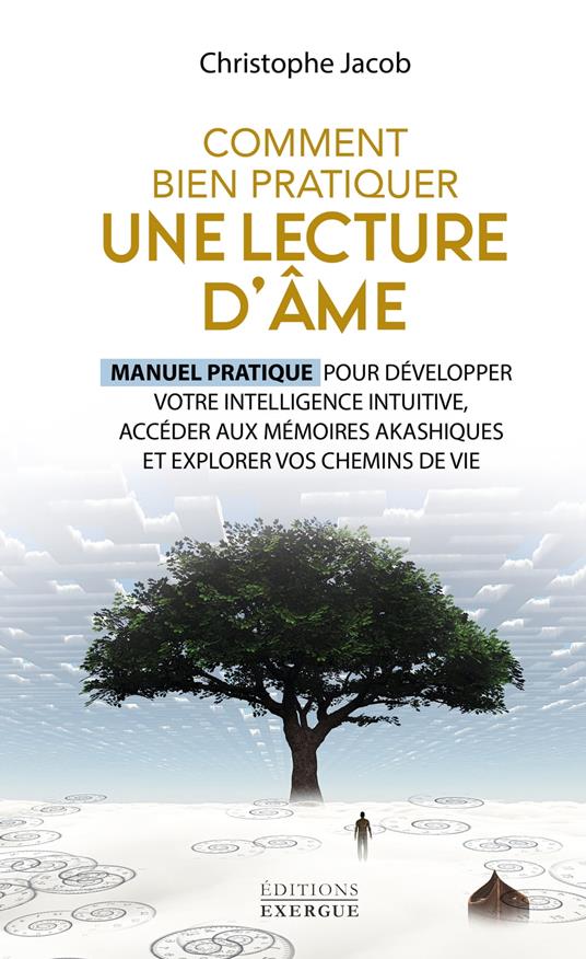 Comment bien pratiquer une lecture d'âme - Manuel pratique pour développer votre intelligence intuitive, accéder aux mémoires akashi