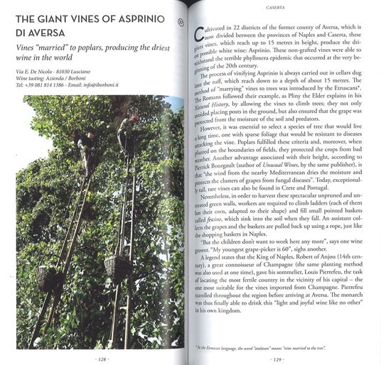 Secret Campania. Capri, Pompeii, Vesuvius, Amalfi coast and surrounding area. Ediz. a colori - Maria Franchini,Valerio Ceva Grimaldi - 4