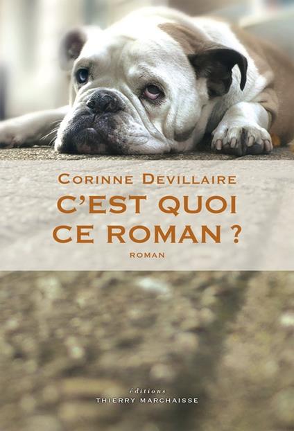 C'est quoi ce roman ?