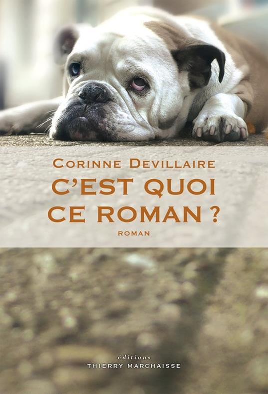 C'est quoi ce roman ?
