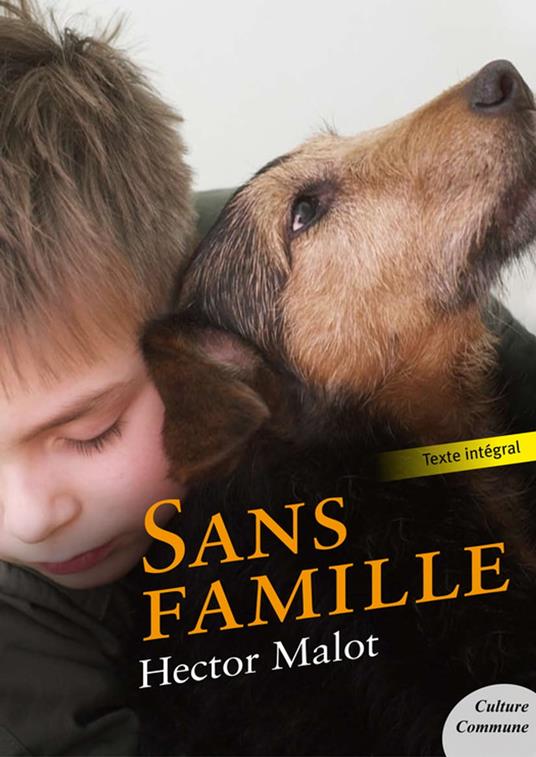 Sans famille - Hector Malot - ebook