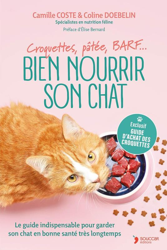 Bien nourrir son chat