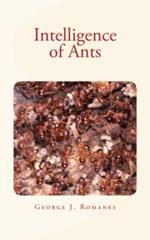 Intelligence of Ants