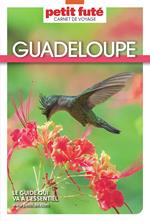 GUADELOUPE 2025 Carnet Petit Futé