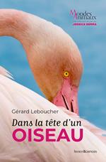 Dans la tête d'un oiseau