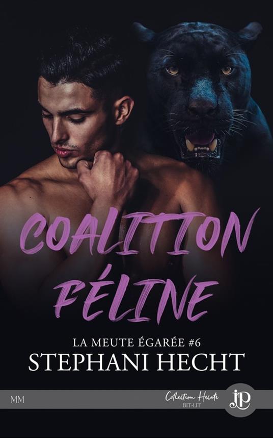 Coalition féline