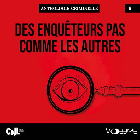 Des enquêteurs pas comme les autres