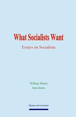 What Socialists Want