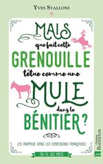 Mais que fait dans le bénitier cette grenouille têtue comme une mule ?