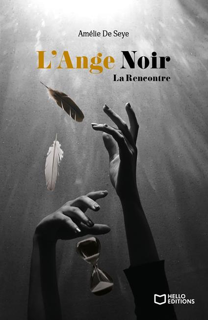 L'Ange Noir - Tome I La Rencontre - Amélie De Seye - ebook