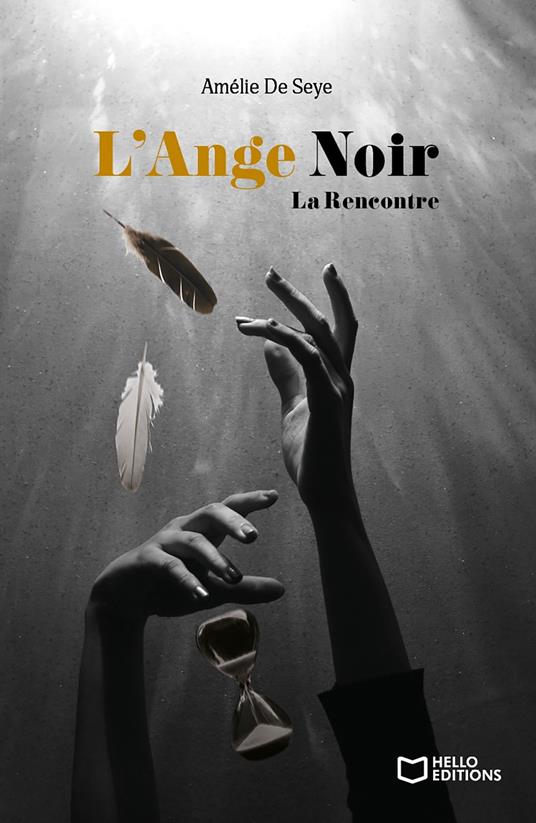L'Ange Noir - Tome I La Rencontre - Amélie De Seye - ebook