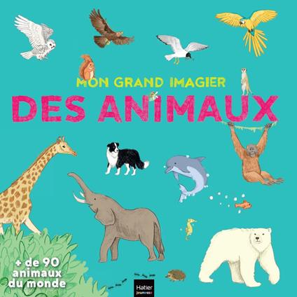 Mon grand imagier des animaux - Stéphanie Rubini - ebook