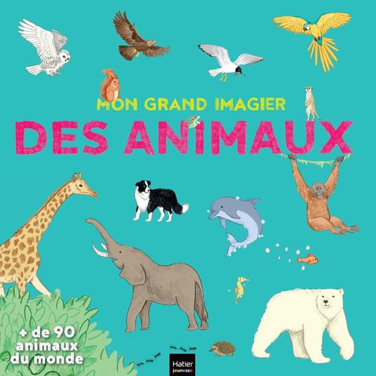 Mon grand imagier des animaux - Stéphanie Rubini - ebook