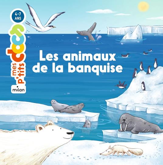 Les animaux de la banquise - Stéphanie Ledu,Delphine Vaufrey - ebook