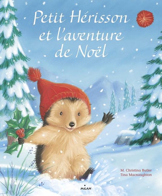 Petit Hérisson et l'aventure de Noël - M Christina Butler,Tina Macnaughton - ebook