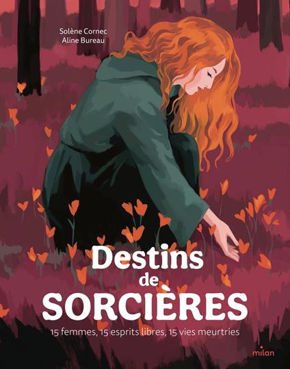 Destins de sorcières - 15 femmes, 15 esprits libres, 15 vies meurtries - Solène Cornec,Aline Bureau - ebook