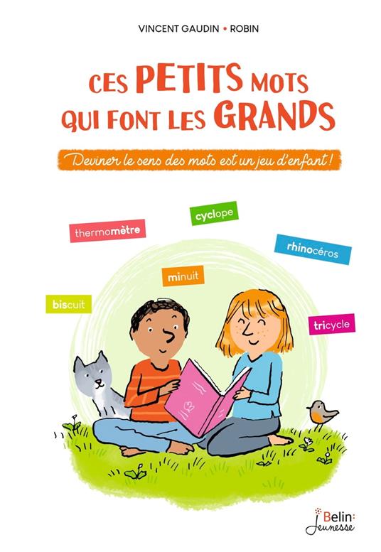Ces petits mots qui font les grands - Vincent Gaudin,Robin - ebook