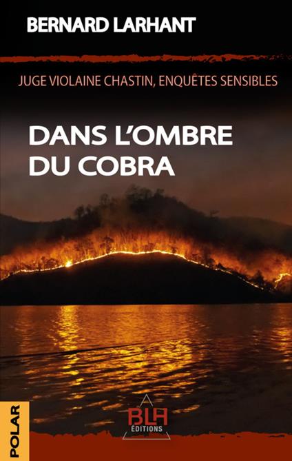 Dans l'ombre du Cobra