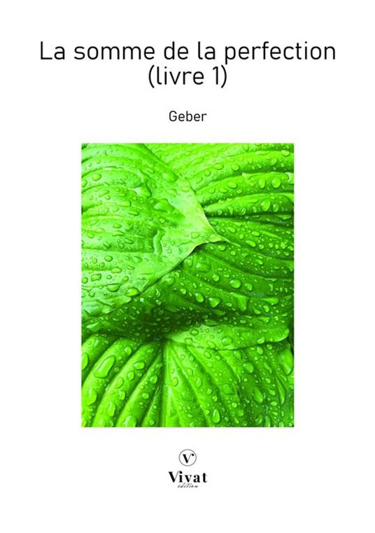La somme de la perfection (Livre 1) - Geber - ebook