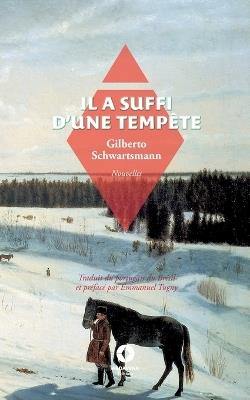 Il a suffi d'une tempête - Gilberto Schwartsmann,Emmanuel Tugny - cover