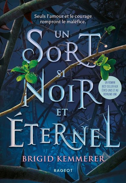 Un sort si noir et éternel - Brigid Kemmerer,Alice DELARBRE - ebook