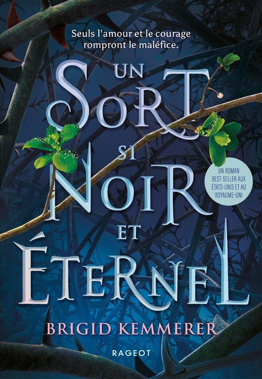 Un sort si noir et éternel - Brigid Kemmerer,Alice DELARBRE - ebook