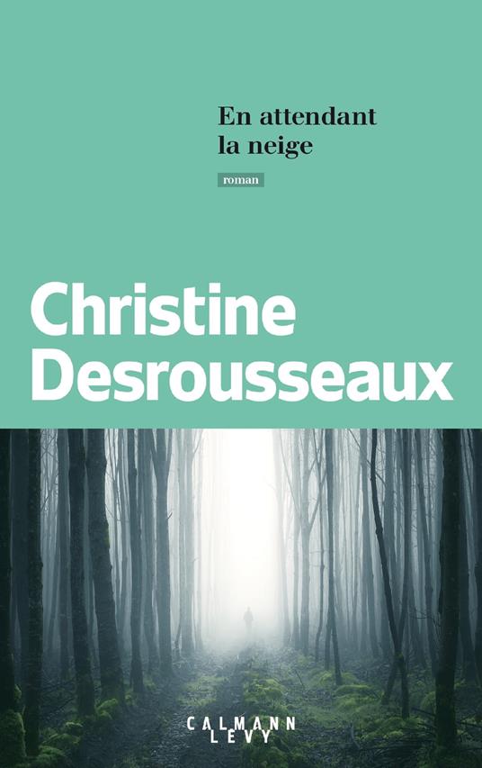 En attendant la neige