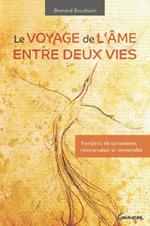 Le voyage de l'âme entre deux vies - Transferts de conscience, réincarnation et immortalité