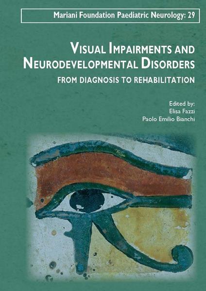 Visual impairments and neurodevelopmental disorders