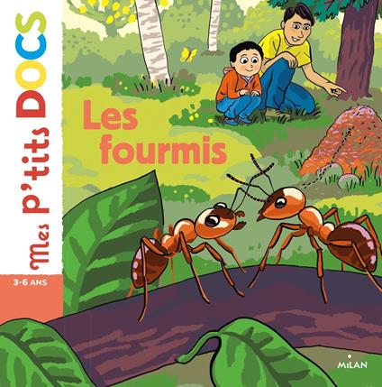 Les fourmis - Stéphanie Ledu,Anne Rouquette - ebook