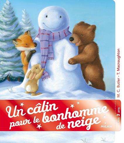 Un câlin pour le bonhomme de neige - M Christina Butler,Tina Macnaughton - ebook