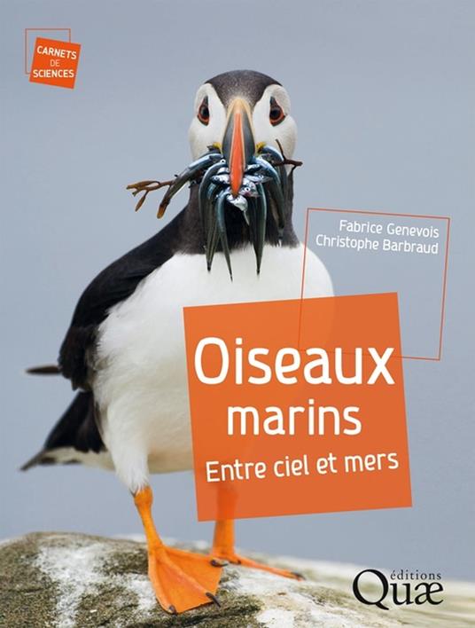 Oiseaux marins