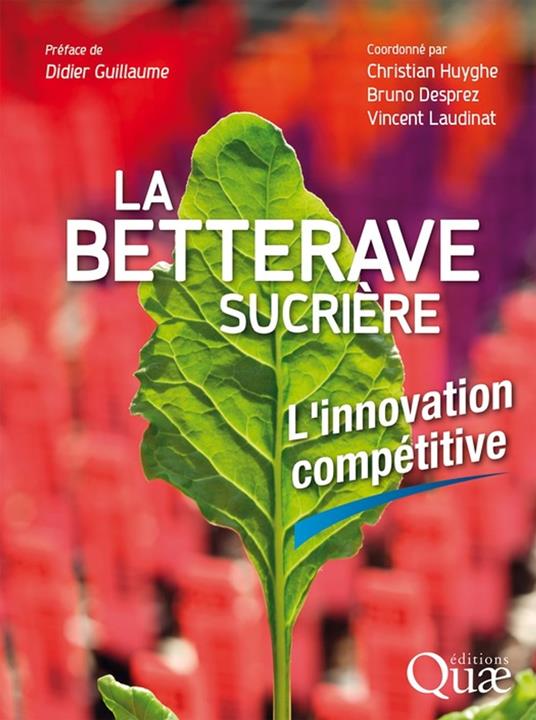 La betterave sucrière
