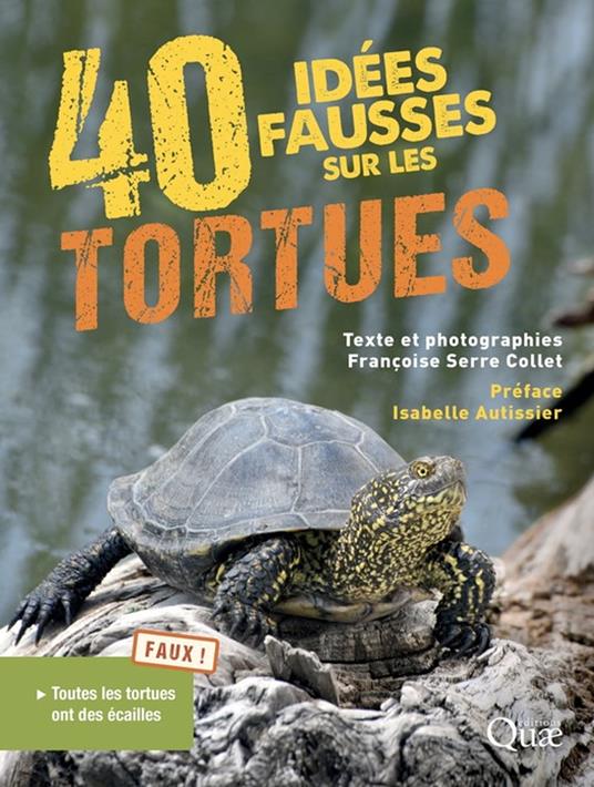 40 idées fausses sur les tortues - Isabelle Autissier,Bernard Devaux,Françoise Serre-Collet - ebook
