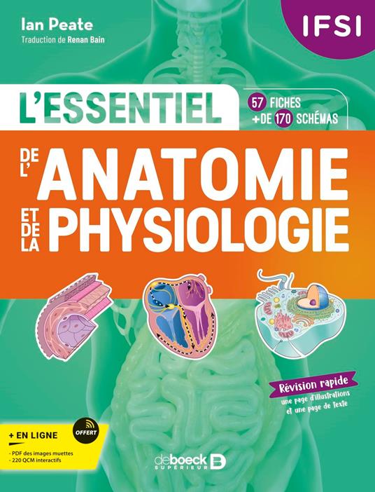 IFSI - L'essentiel de l’anatomie et de la physiologie humaines en fiches