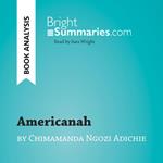 Americanah by Chimamanda Ngozi Adichie (Book Analysis)