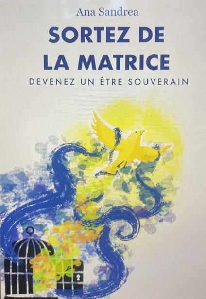 Sortez de la matrice ! - Se libérer de ses conditionnements et devenir maître de sa vie