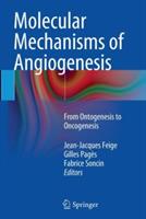 Molecular Mechanisms of Angiogenesis: From Ontogenesis to Oncogenesis - cover
