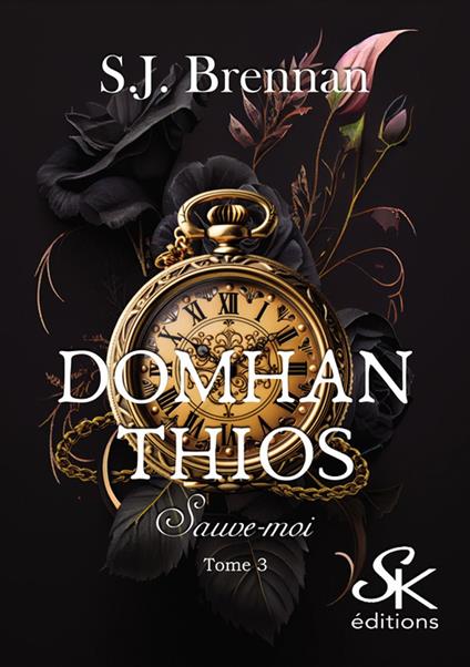 Domhan Thios 3 - S. J Brennan - ebook