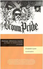 Mestizaje, diferencia y nación
