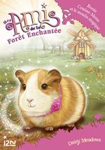 Mes amis de la forêt enchantée - tome 8 Rosie Couine-Menu et le moulin magique