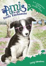 Mes amis de la forêt enchantée - tome 10 La surprise d'Eva Truffe-Flair