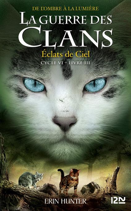 La Guerre des Clans, Cycle VI - tome 3 Eclats de Ciel - Erin Hunter,Aude CARLIER - ebook