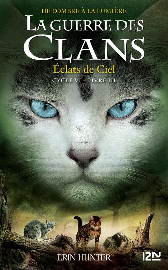 La Guerre des Clans, Cycle VI - tome 3 Eclats de Ciel - Erin Hunter,Aude CARLIER - ebook