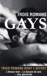 Trois romans gays