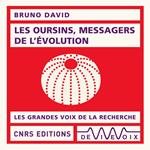 Les oursins, messagers de l'évolution