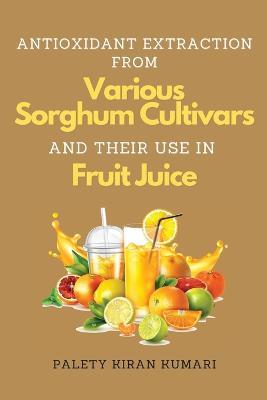 Antioxidant Extraction From Various Sorghum Cultivars and Their Use in Fruit Juice - Palety Kiran Kumari - cover