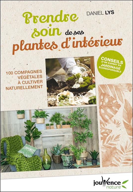 Prendre soin de ses plantes d'intérieur