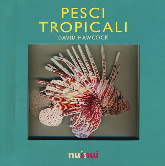 Pesci tropicali. Libro pop-up - David Hawcock - copertina